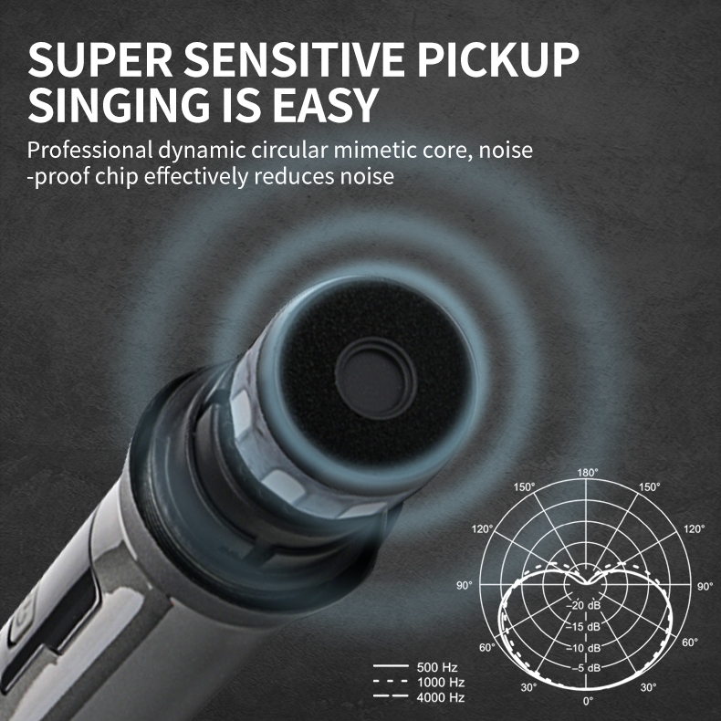 RAYHAYES Professional Wireless Microphone UHF Handheld Rechargeable Dynamic Microphone For Karaoke - Image 2