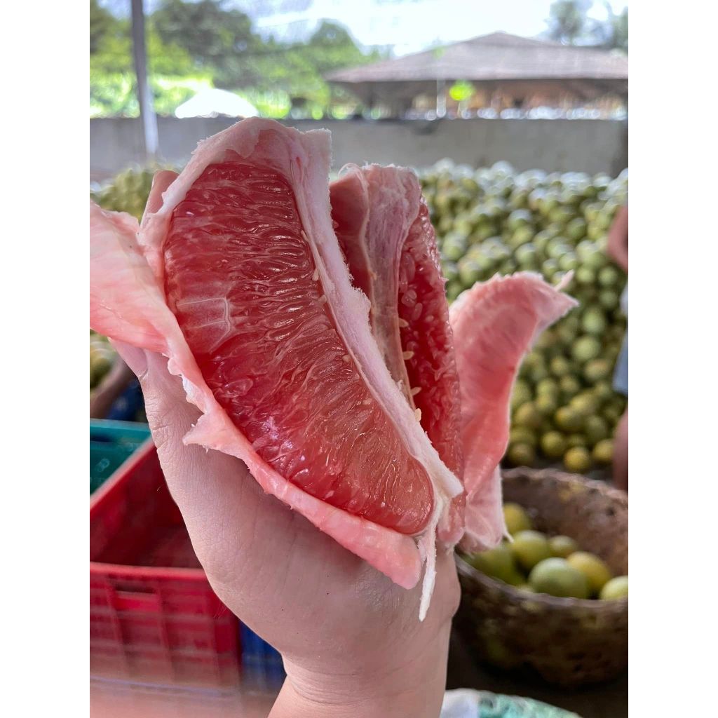 Davao Pomelo/Sweet Juicy Pomelo/Suha/Boongon — view 4