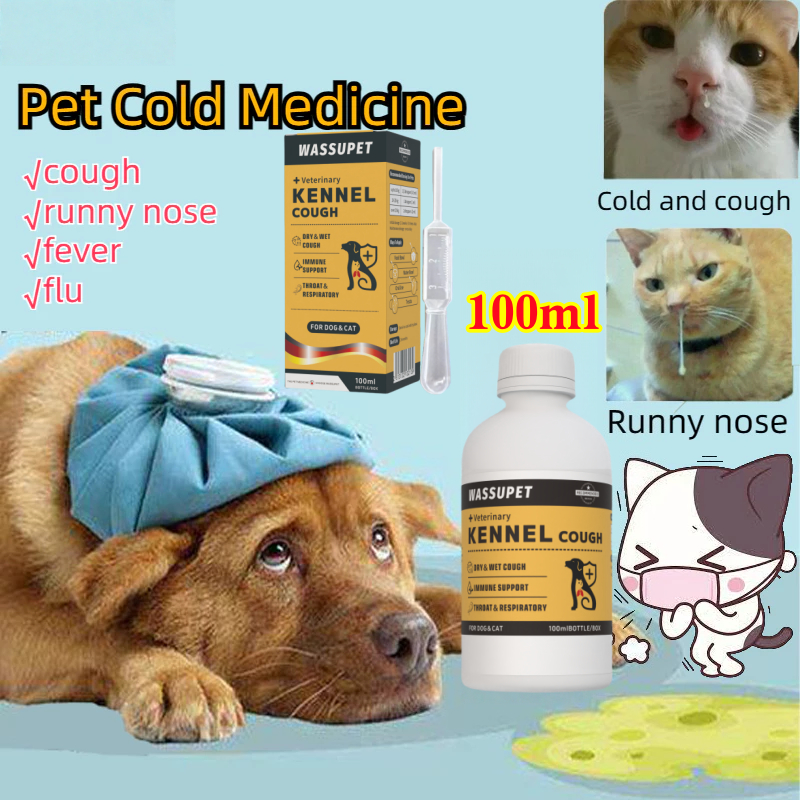 Cold Medicine What Can I Give My Kitten For A Cold Shop Cat