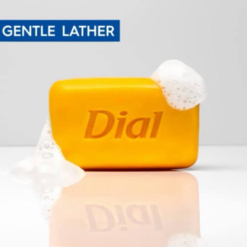 Shop dial soap for Sale on Shopee Philippines