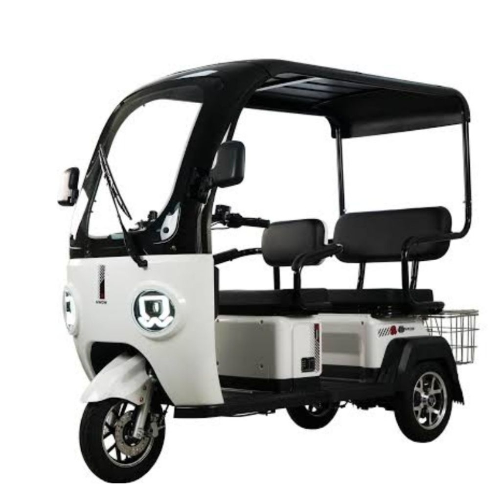 Philippines How Much Does A Three Wheel Bike Cost 3-Wheel E-Bike