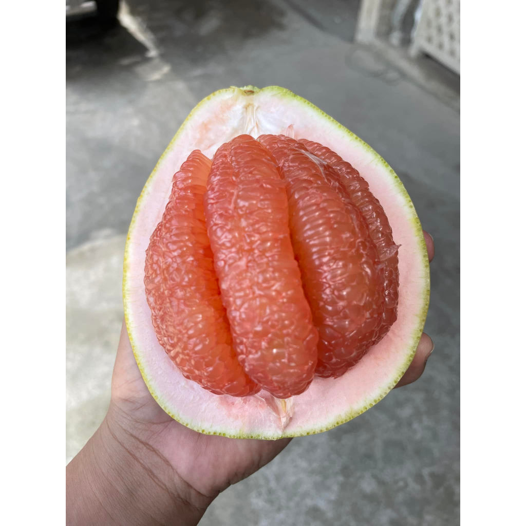 Davao Pomelo/Sweet Juicy Pomelo/Suha/Boongon — view 2