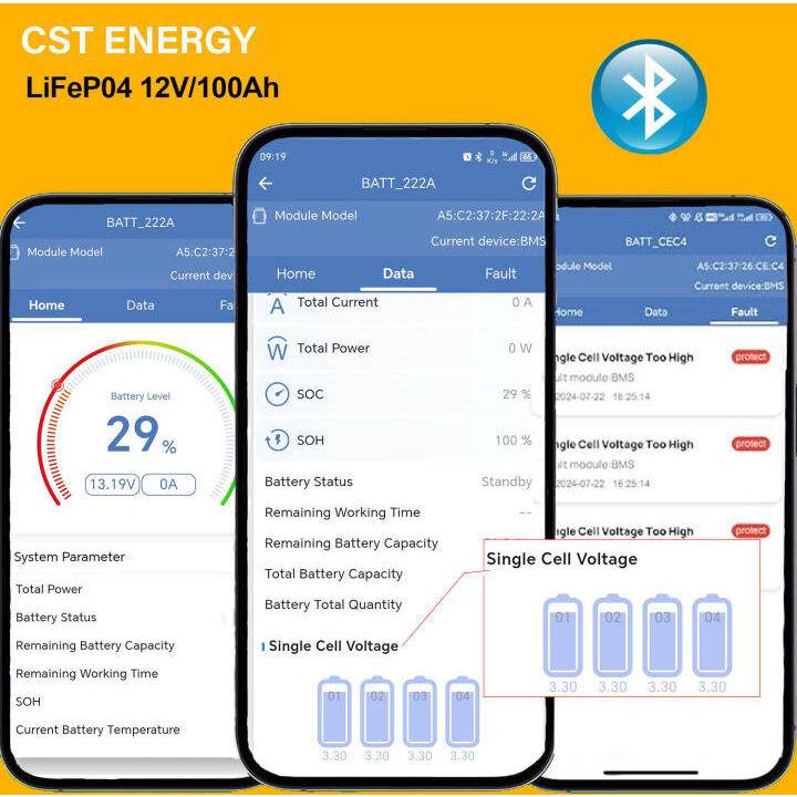 CST ENERGY LiFePo4 Battery 12V 100AH Lithium Battery 12V280AH Solar Battery 12V 100AH Built in BMS — view 2