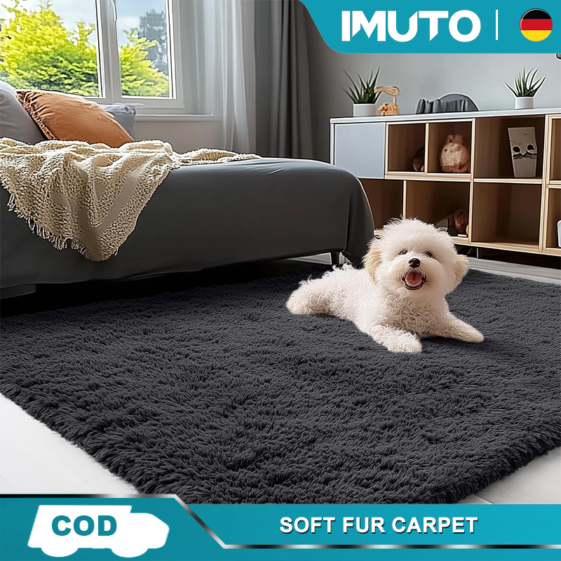 IMUTO Colorful Carpet Living Room Carpet Bedroom/Livingroom Rug Soft＆Comfortable Antislip Floor Mat