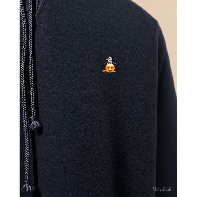 Pullover Hoodie | Black with Signature Bird Embroidery | Striped Ribbed Hem product photo 3