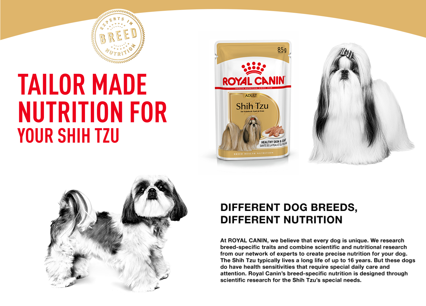 Best wet food for shih tzu hotsell