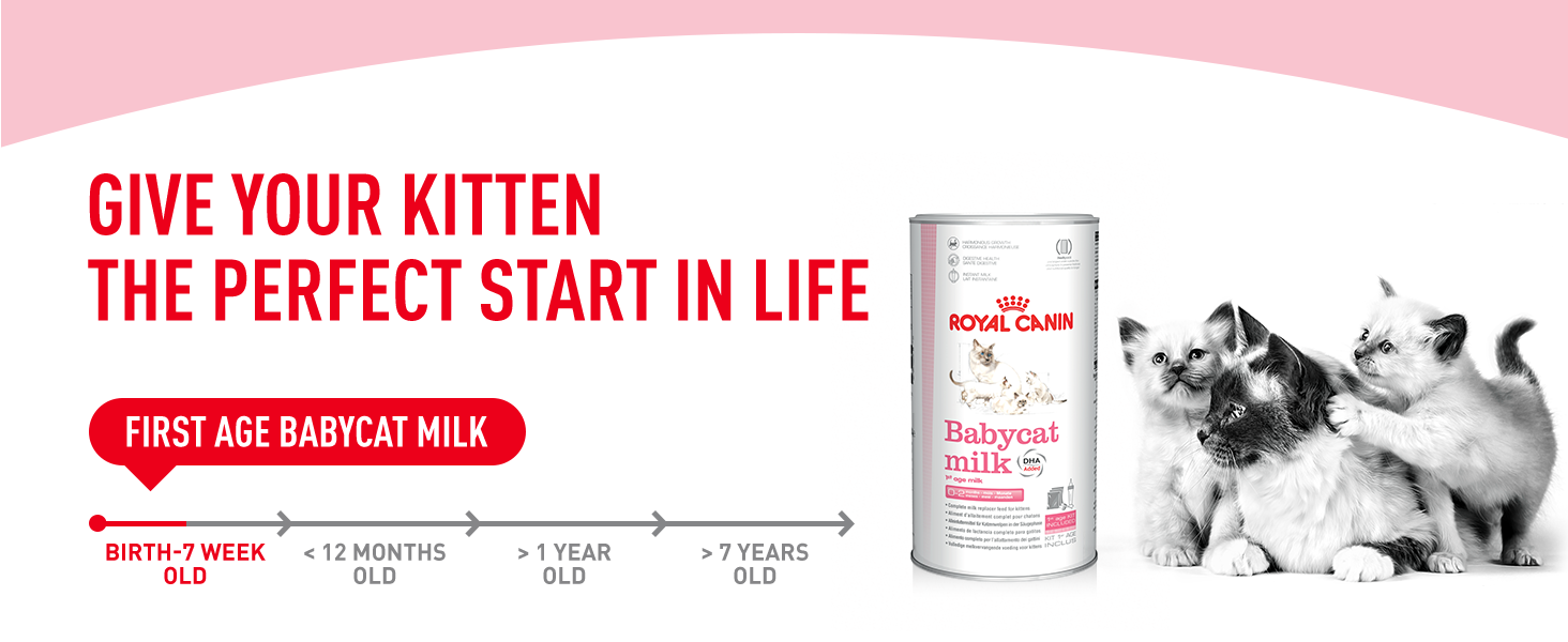 Cat milk royal canin best sale