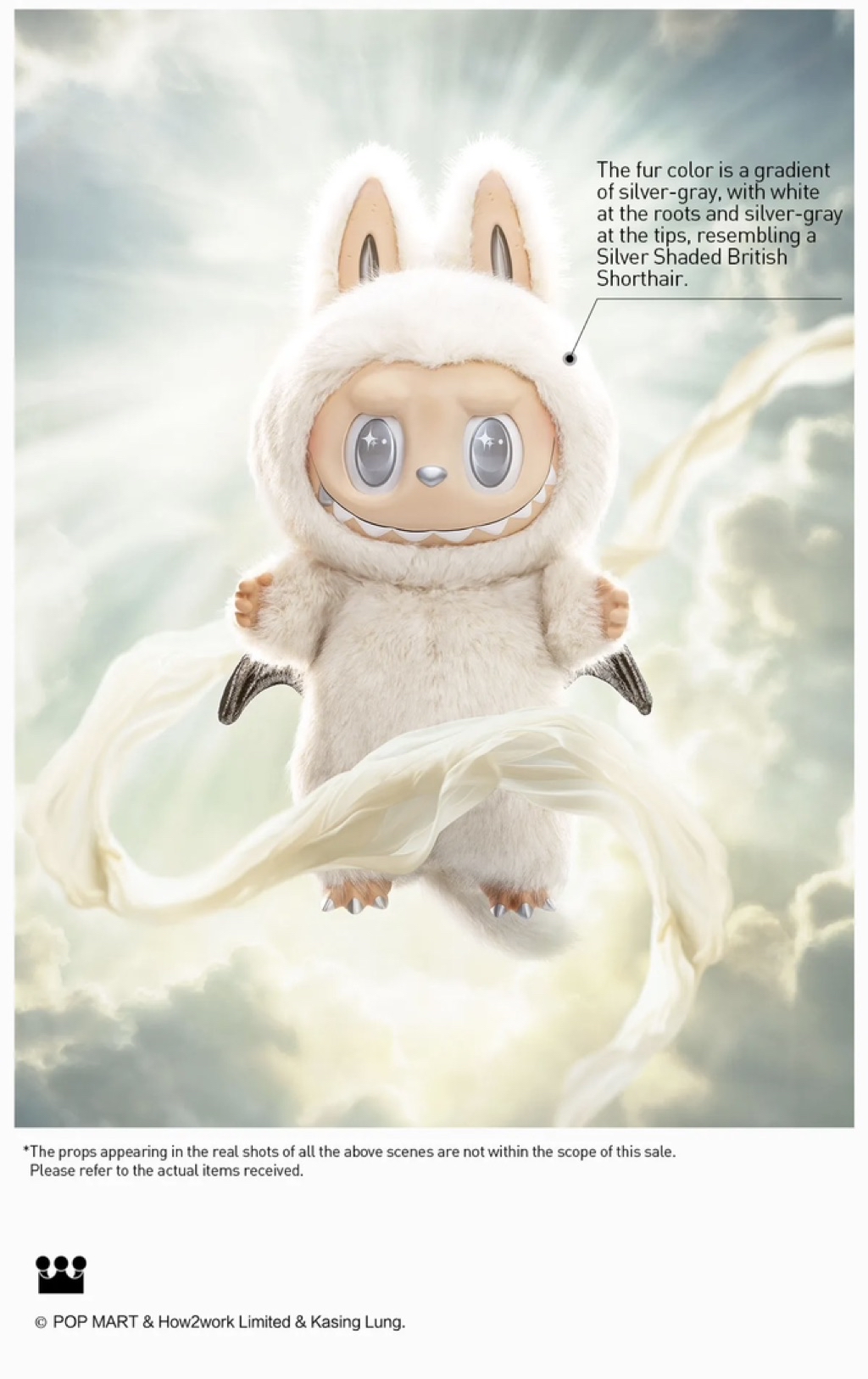 Product detail 6