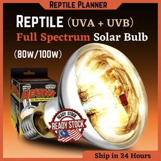 ♧Full Spectrum 2in1 Solar glo Heat Lamp UVA & UVB 80W/100W Reptile solar glo light UV bulb Pet Turlt