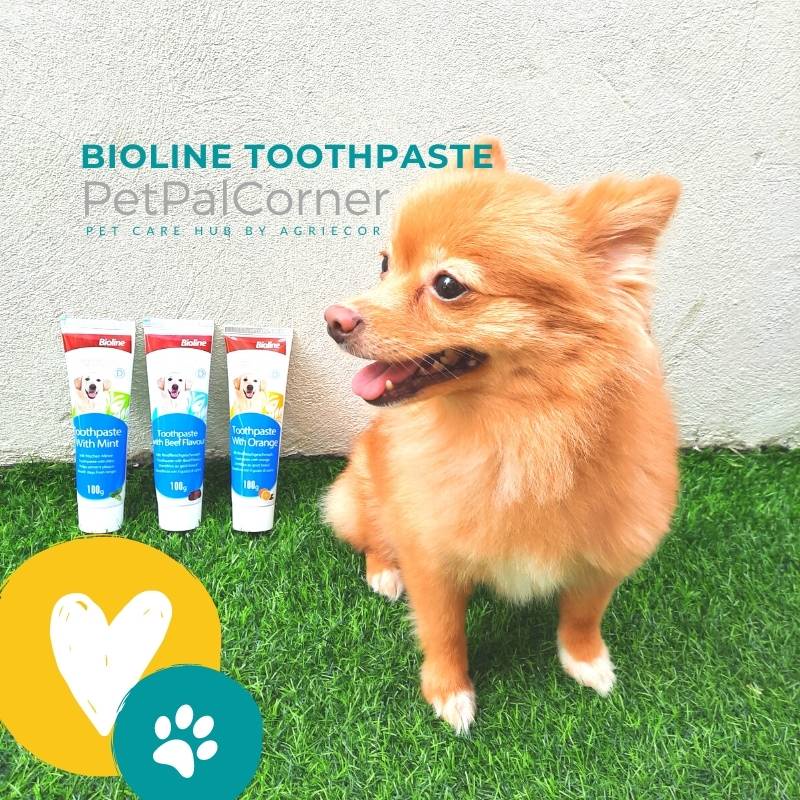 Agri & Pet Bioline Toothpaste 100g Shopee Philippines