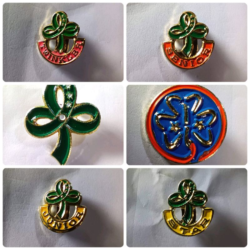 Girls scout Pin complete Shopee Philippines