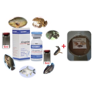Alvaprim Hormones Mixed With Artificial Fish And Frogs Size 5 Cc + Complete Set Results 1 See 8-10 Hours.