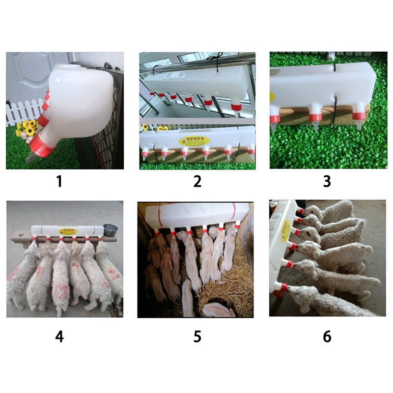 Piglet Milk Feeder Device Lamb Piglet Nursing Feeder Piglet Breastfeeding Milk Feeder #6