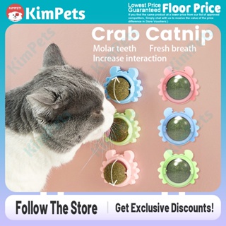Catnip Cat Mint Ball Cat Snack Treats Toy Ball