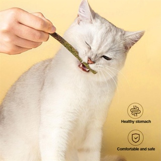 BESTLINK 6 Sticks/Box Cat Chewing Toys 100% Natural Silver Vine Catnip Toys Sticks Kittens Teeth Cleaning Stick F1U4 #4