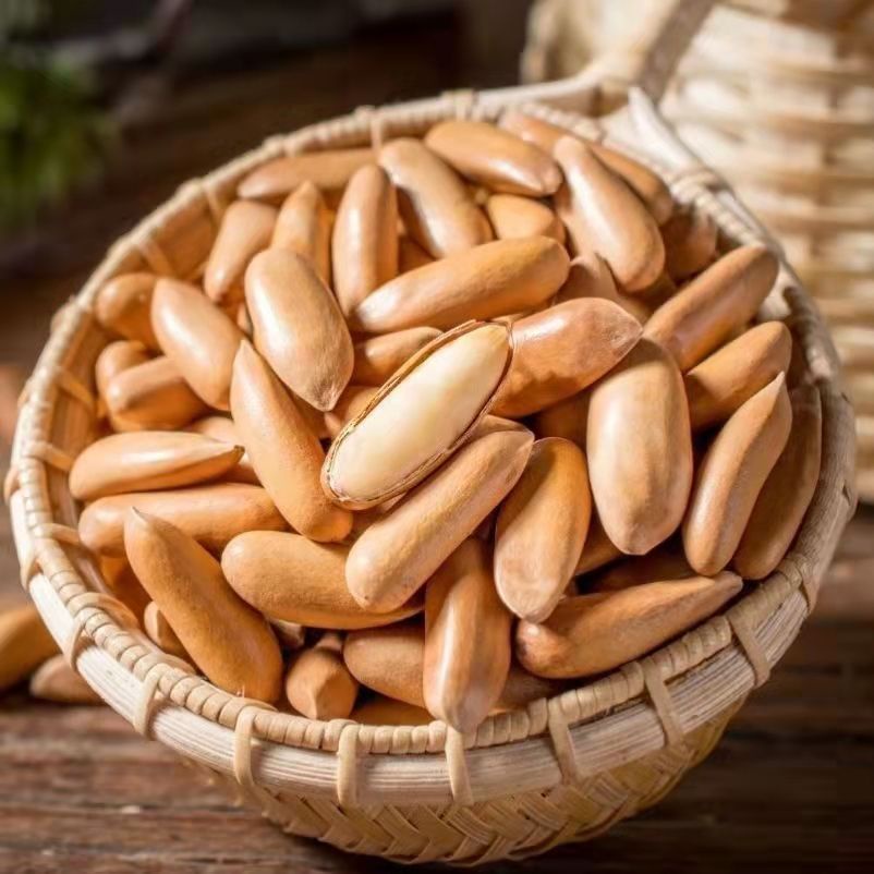 Nut New Brazilian pine nuts 500g250g with cans of major particles hand