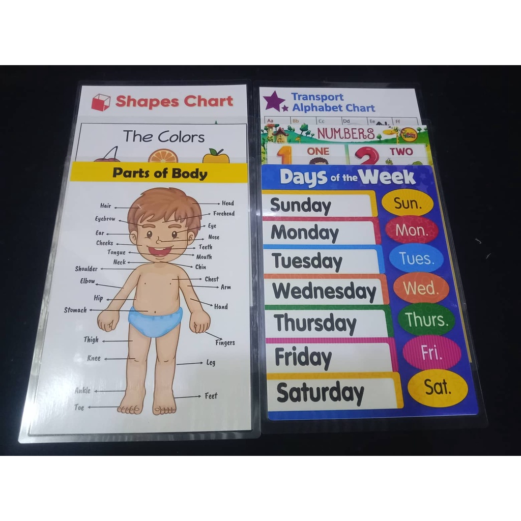 Pieces Bundle Educational Chart A Size Laminated Shopee Philippines Sexiz Pix 