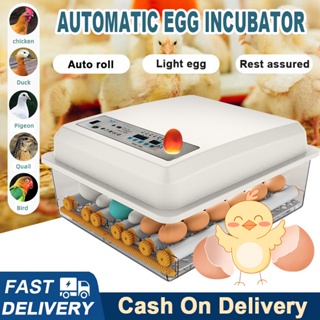 Warranty/Incubator For Egg/Fully Automatic Mini Egg Incubators/Digital Hatcher With turner/Incubator