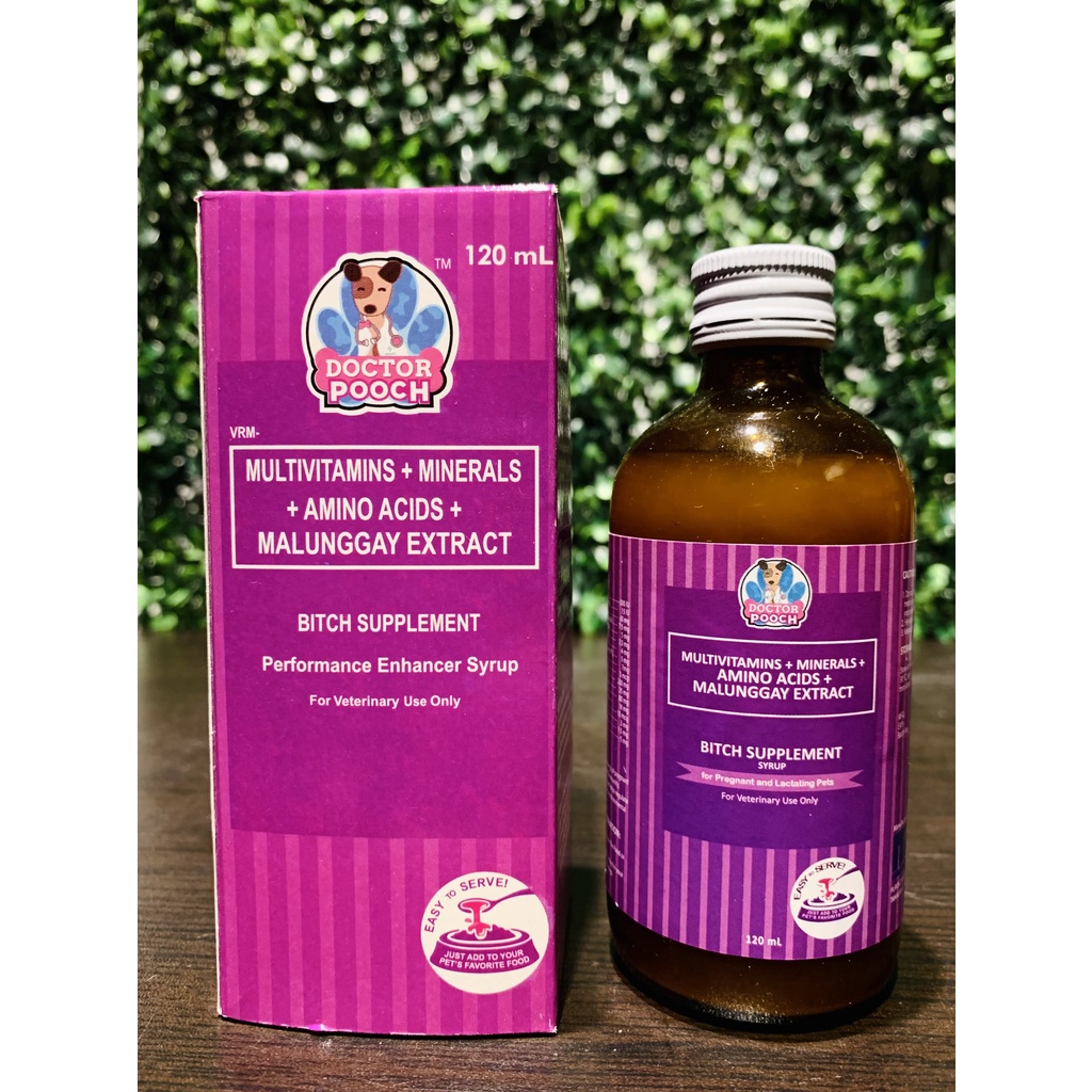Pregnant Lactating Dog Supplement MALUNGGAY EXTRACT Shopee Philippines
