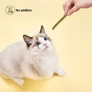 BESTLINK 6 Sticks/Box Cat Chewing Toys 100% Natural Silver Vine Catnip Toys Sticks Kittens Teeth Cleaning Stick F1U4 #5