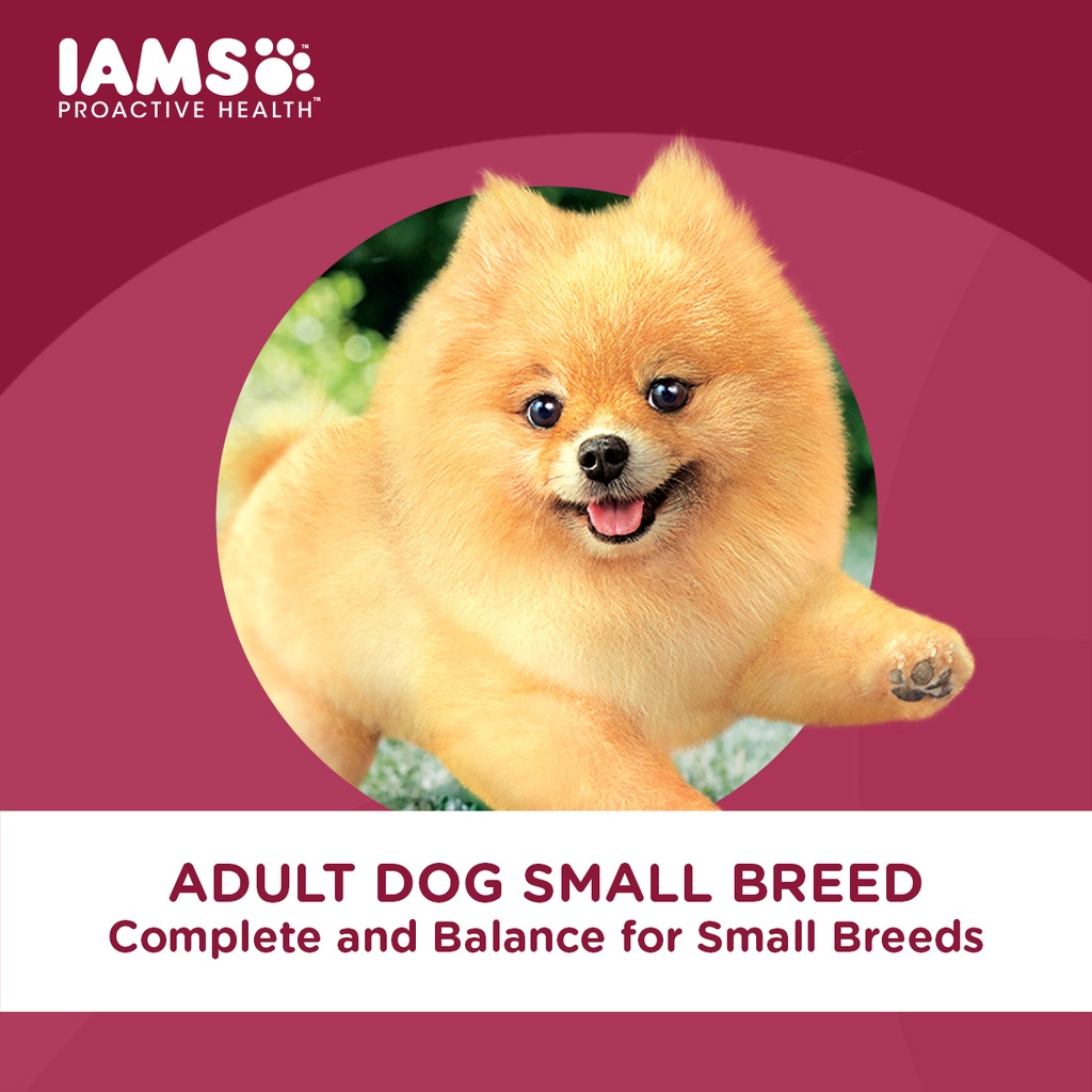 IAMS Proactive Health – Premium Dog Food Dry for Small Breed Adult Dogs, 1.5kg. #6