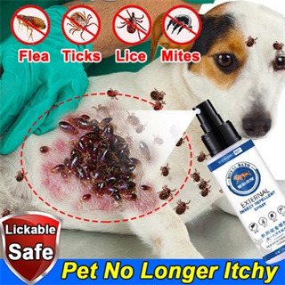 ♙☼○[No More Fleas]Pet Flea and Tick Remover spray for Dogs Cats100ml Safety is Not Afraid of Licking