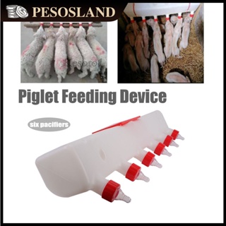 Piglet And Lamb Feeding Device Silicone Piglet Nursing Machine Piglet Breast Feeding Device