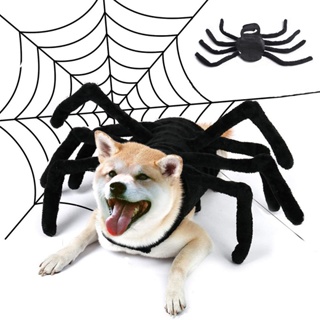 Free Shipping Halloween Pet Spider Clothes Simulation Black Spider Puppy Cosplay Costume For Dogs Cats Party Cosplay Funny Outfit Dropshipping