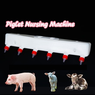 Piglet feeding device Silicone Nipple Feeder for Piglet Lamb nursing mother machine