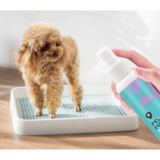 Pet Dog pee inducer guided toilet training potty spray training liquid pet defecation inducer 120ml