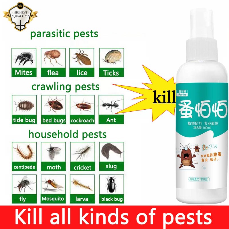100ML Insecticide Liquid spray Kills all kinds insects indoors outdoors