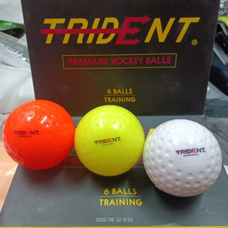 Trident Dita Premium Dimple Training Hockey Ball - Hockey Ball Practice ...