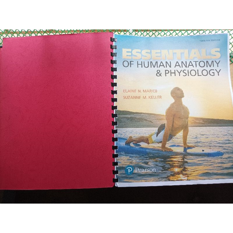 Essentials of Human Anatomy & Physiology (12th Edition) Pearson
