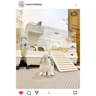 Wooden Ladder Cage Door shobi For Rabbits Gatsby !WOOD & MOOD Ix #9