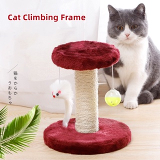 Cat Climbing Frame Double Layer With Ball and Plush Toys Cats Scratching Tree Cat Climbing Toy