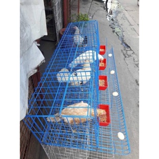 ✑▲✥Battery Cages 4 Doors Coated Blue