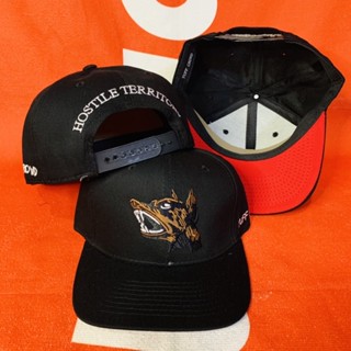 SNAPBACK TUFF CROWD LOGO CHRIS BROWN CAP #2