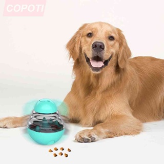 Slow Food Leakage Cat Dog Tumbler Toys Puppy Training Treat Ball Pet Supplies