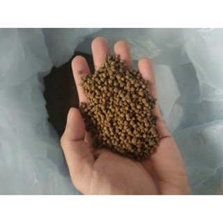 Floating pellet ”feeds for fish” 1kg #1