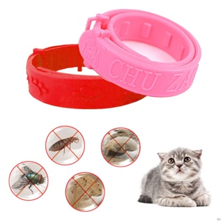 Malaysia Pet Dog Cat Collar Anti Flea Mite Lice Insecticide Mosquito Outdoor Adjustable Pet Collar L