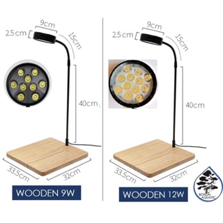 ▦▩LED Light Stand with Wooden Base for Indoor Succulent Plant Display, Wabi Kusa, Jarrarium, Mini Be #3