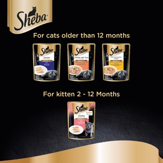 (hot)SHEBA Wet Food for Cats – Chicken Flavor Cat Food Wet (24-Pack), 70g. #8