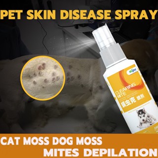 (hot)100MLgamot sa galis ng aso dog medicine for skin disease wound ...