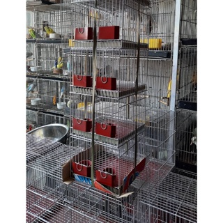 Bird Cage Double Pairing Cage Two Pairs for Lovebird 9 x 12 x 18 Quality Thick Galvanized Pet Cage #8