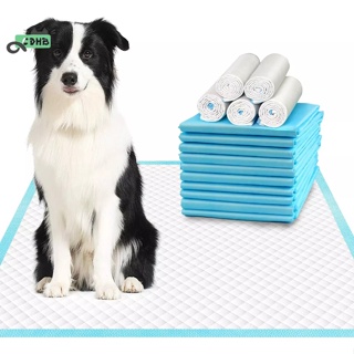 Pet Training Pads Super Absorbent For Dog Cat Puppy Poop And Pee Absorption Pad Potty Pads