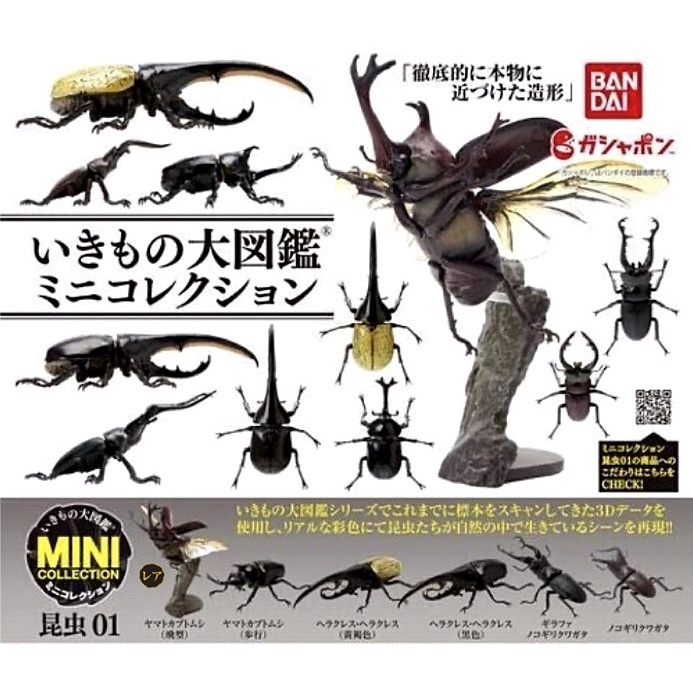 Mini Gashapon Kuwagata Hercules And Stag Beetle Collection Insect Vol