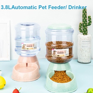 Capacity Large Feeders Automatic 【3.8L】 Cat Pet Bottle Water Dog Plastic Cat Fountain Water