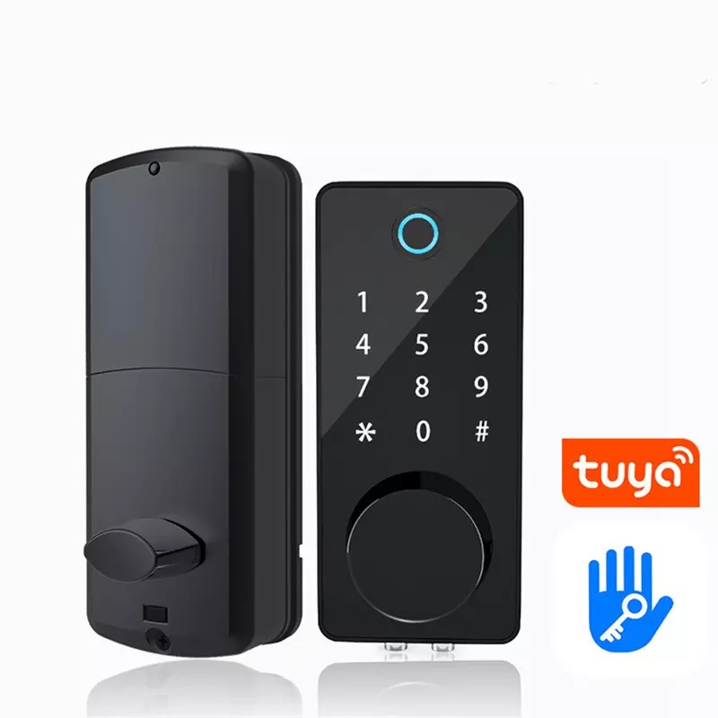 Smart Door Lock Double Lock Door Digital Door Lock Fingerprint Door