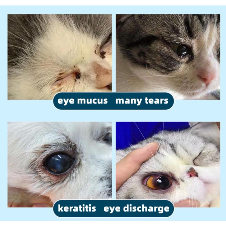 Terramycin Eye Ointment Corneal Inflammation Ointment Eye Redness  And Inflammation For Pets Animals #5
