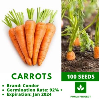 Carrots 100 seeds vegetable repacked seeds gardening